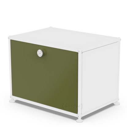 USM Haller Klapptür für USM Haller Regale, 50 cm x 35 cm, Olivgrün RAL 6003, ohne Schloss
